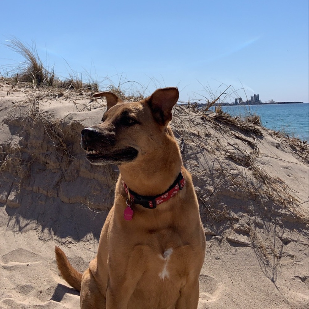 Meet your Posher, Maya